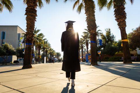 Graduate in regalia walking down the palm tree lined Paseo of 菠菜网lol正规平台 with the sun beaming